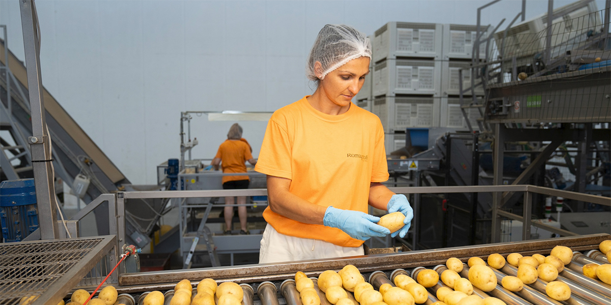 Romagnoli presenta il quarto rapporto di sostenibilità